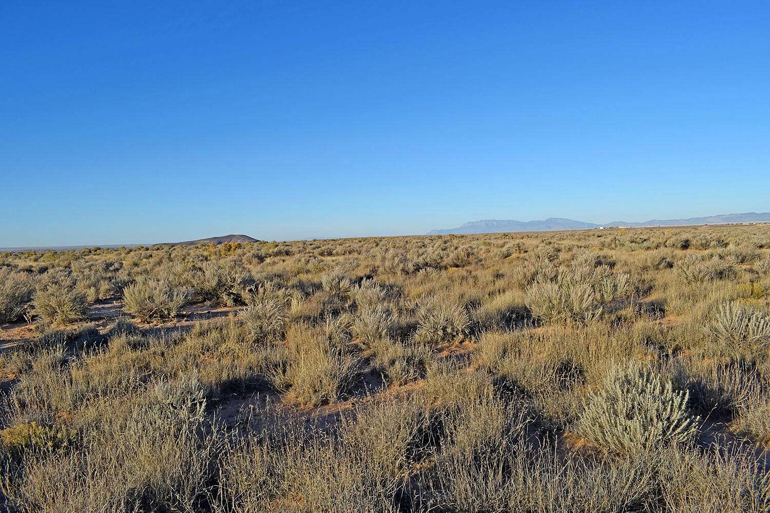 0.25 Acres of Land for Sale in Los Lunas, New Mexico
