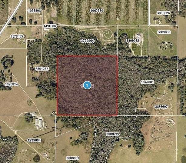 40 Acres of Agricultural Land for Sale in Clermont, Florida