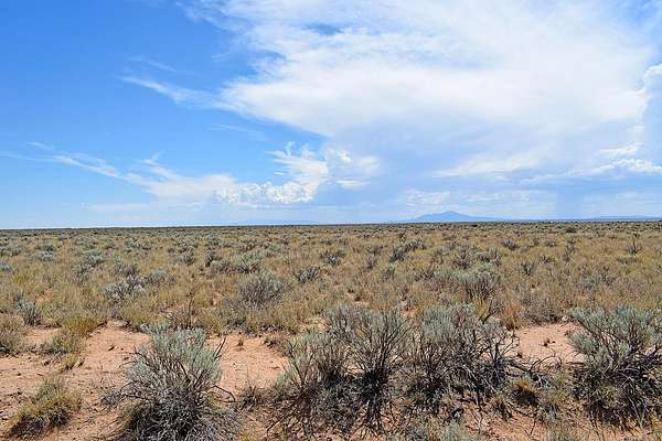 0.25 Acres of Land for Sale in Los Lunas, New Mexico