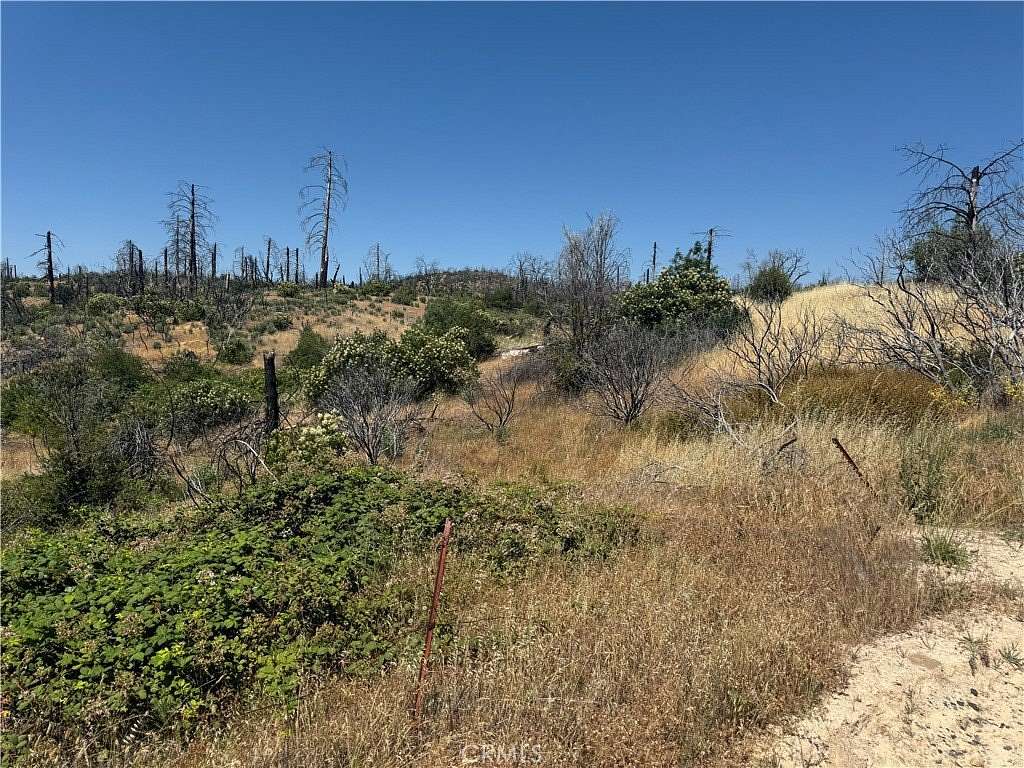 1.89 Acres of Land for Sale in Berry Creek, California