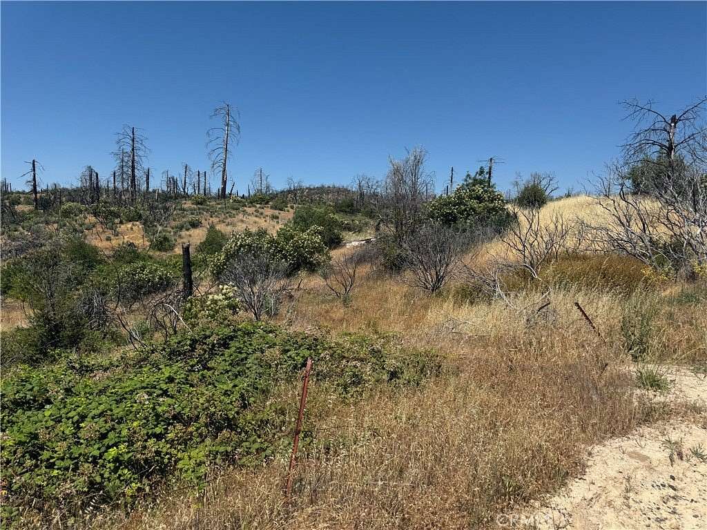 1.89 Acres of Land for Sale in Berry Creek, California