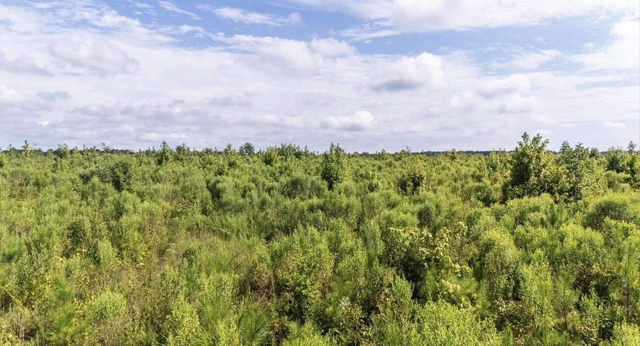 5 Acres of Residential Land for Sale in Edgefield, South Carolina