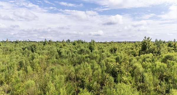 5 Acres of Residential Land for Sale in Edgefield, South Carolina