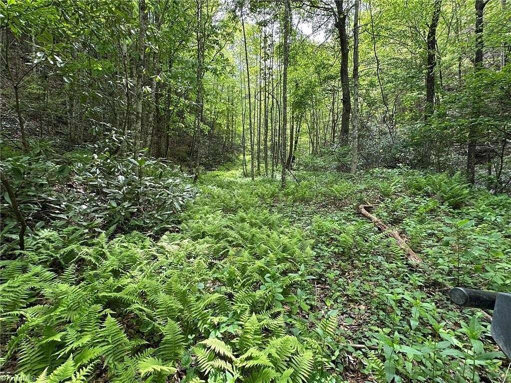 292 Acres of Recreational Land for Sale in Millers Creek, North Carolina