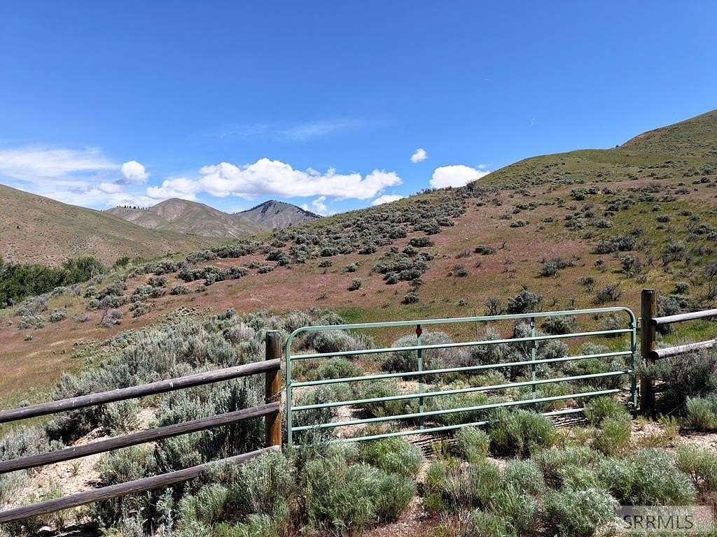 37 Acres of Land for Sale in Carmen, Idaho