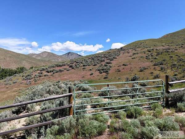 37 Acres of Land for Sale in Carmen, Idaho