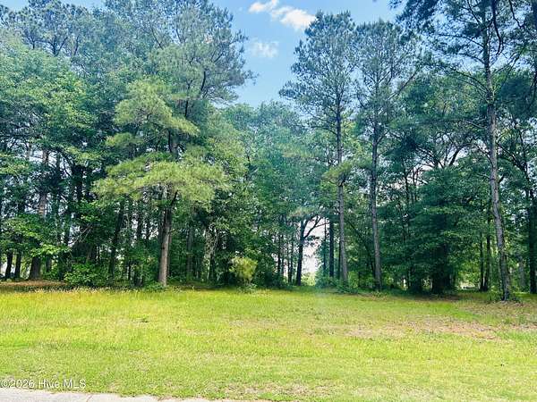 0.48 Acres of Residential Land for Sale in Wallace, North Carolina