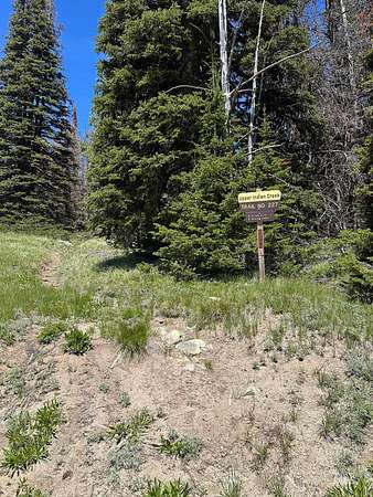 78.3 Acres of Land for Sale in Council, Idaho