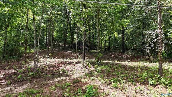 0.5 Acres of Land for Sale in Grant, Alabama