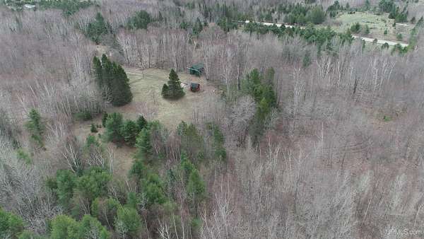 20 Acres of Recreational Land for Sale in Gulliver, Michigan