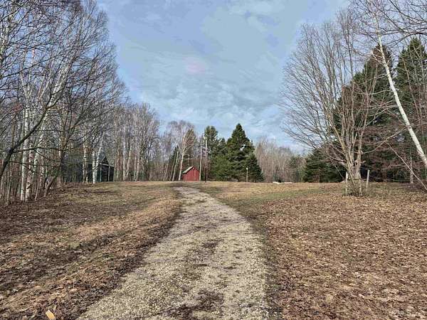 20 Acres of Recreational & Residential Land for Sale in Gulliver, Michigan