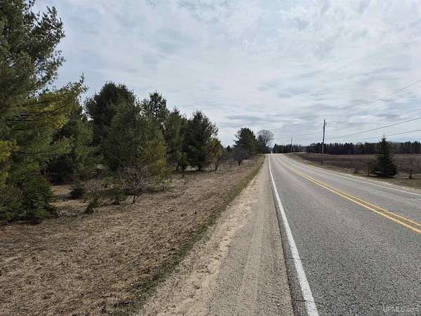 20 Acres of Recreational Land for Sale in Gulliver, Michigan