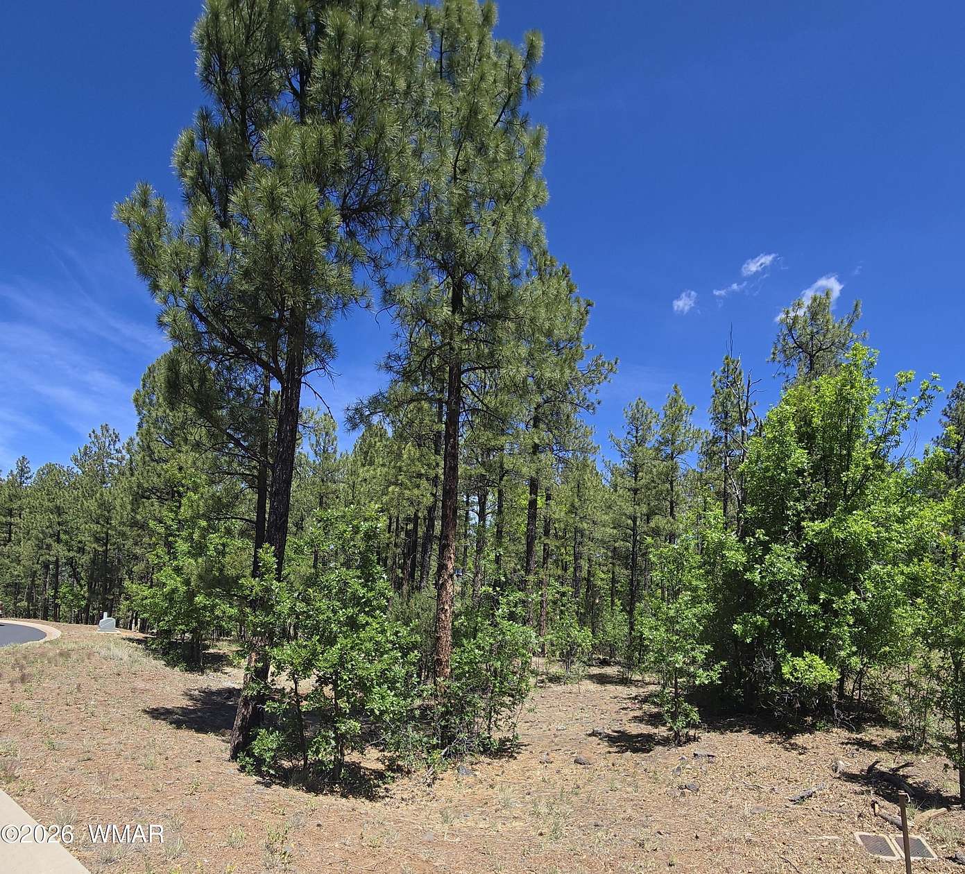 0.24 Acres of Residential Land for Sale in Lakeside, Arizona