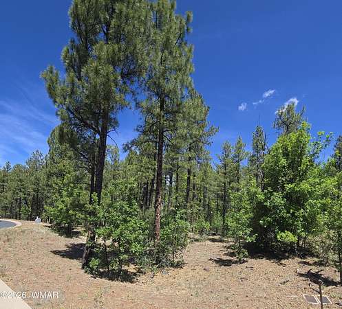 0.24 Acres of Residential Land for Sale in Lakeside, Arizona