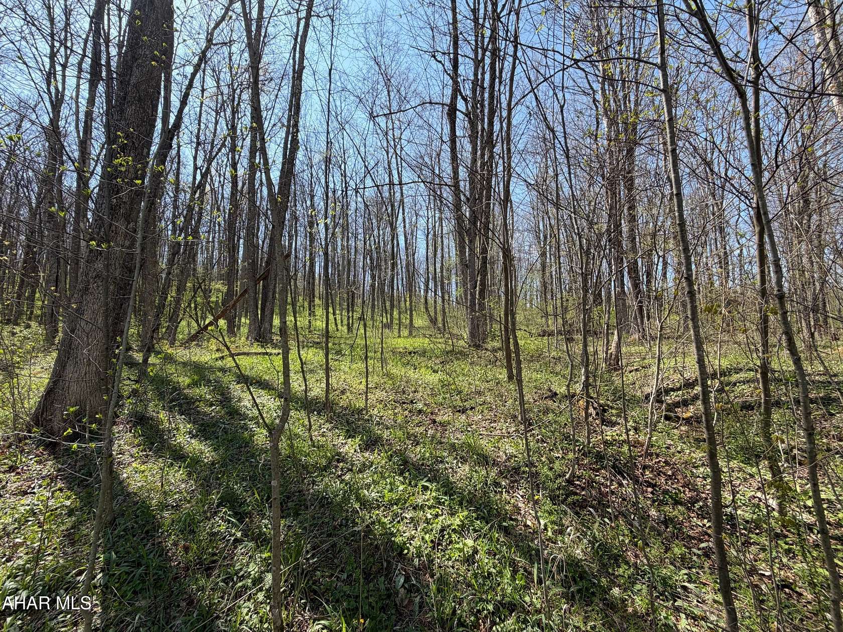 24.8 Acres of Recreational & Residential Land for Sale in Central City, Pennsylvania