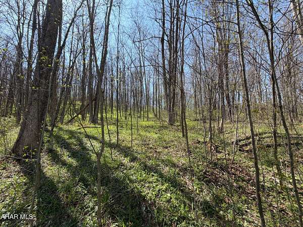24.8 Acres of Recreational & Residential Land for Sale in Central City, Pennsylvania