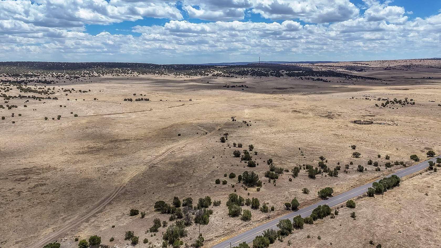 41.2 Acres of Land for Sale in Capitan, New Mexico