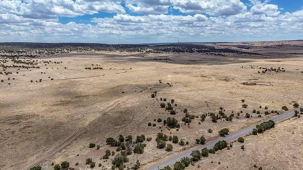 41.2 Acres of Land for Sale in Capitan, New Mexico