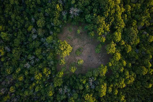 22.6 Acres of Land for Sale in Mount Juliet, Tennessee