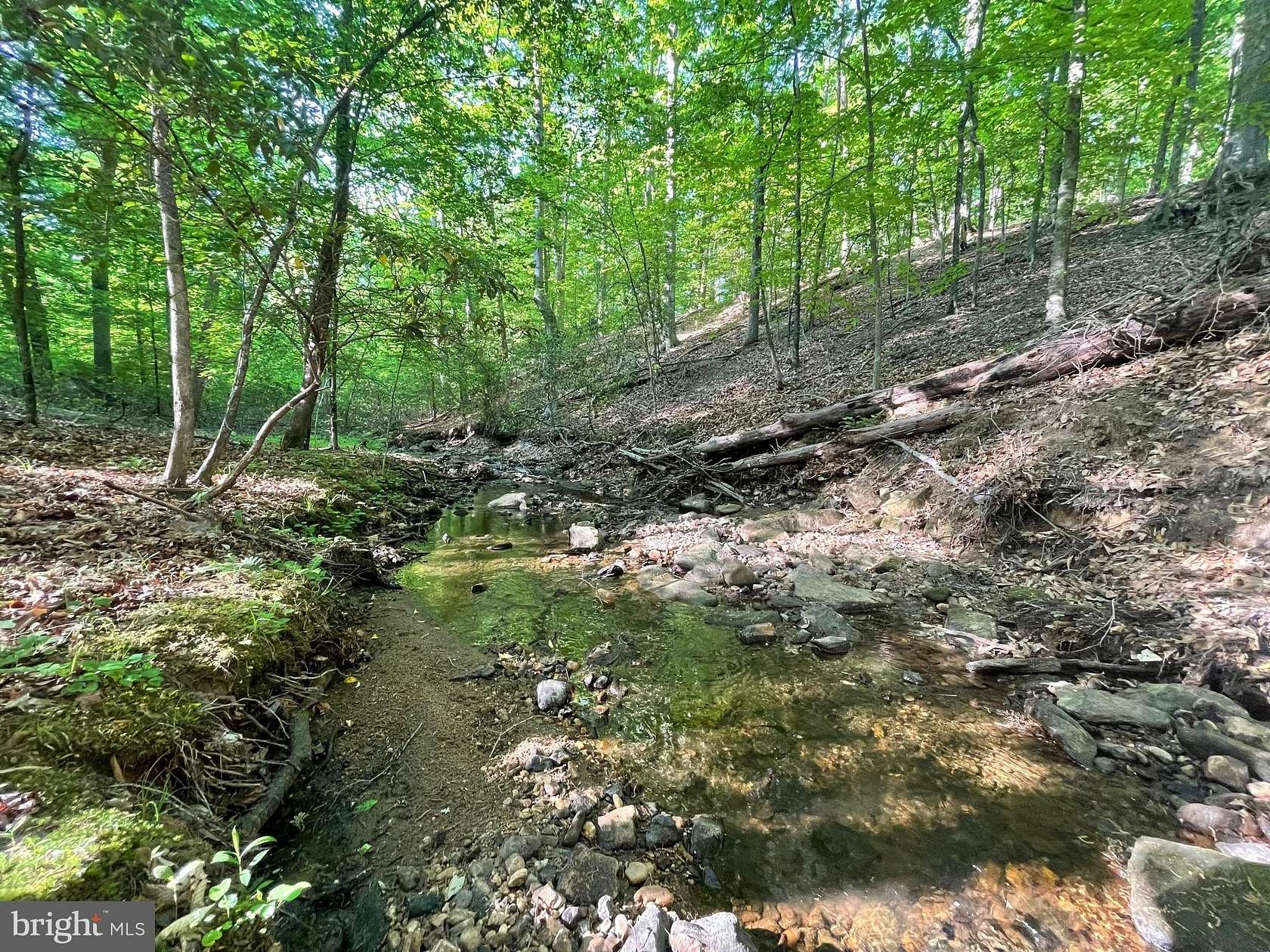 5.33 Acres of Residential Land for Sale in Fredericksburg, Virginia