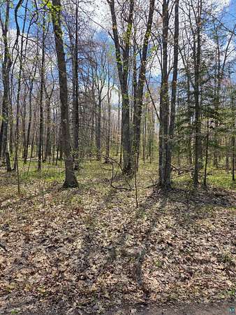 10 Acres of Recreational Land for Sale in Herbster, Wisconsin
