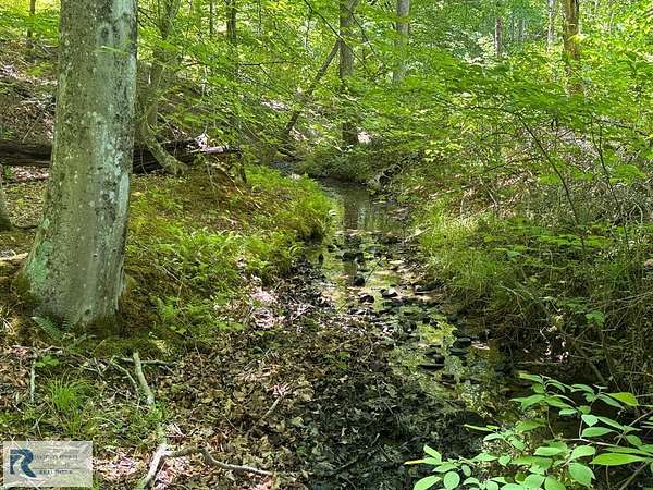 18.8 Acres of Recreational Land for Sale in Callands, Virginia