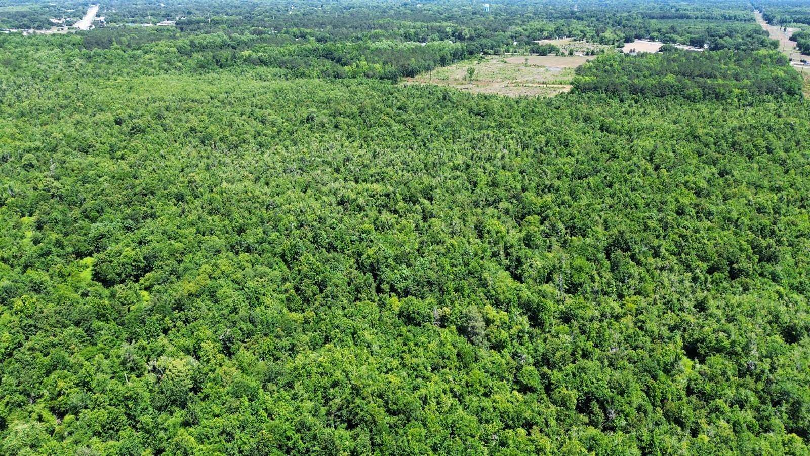 84.6 Acres of Recreational Land for Sale in Sumter, South Carolina