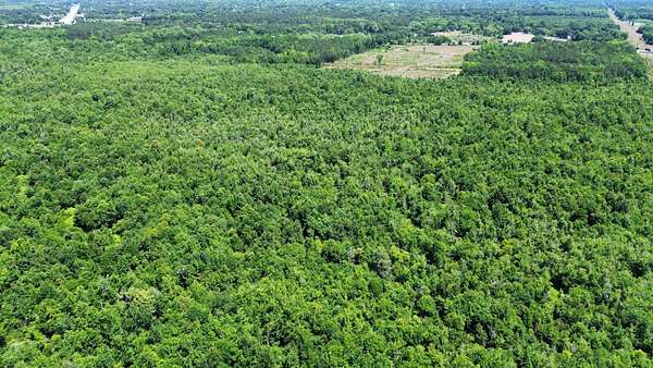 84.6 Acres of Recreational Land for Sale in Sumter, South Carolina