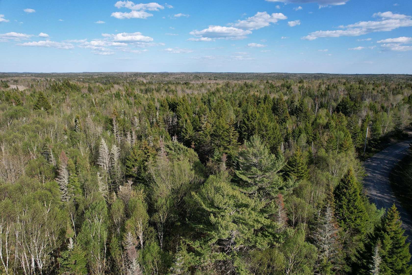 42 Acres of Recreational & Residential Land for Sale in Whiting, Maine