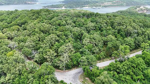 17.3 Acres of Land for Sale in Blue Eye, Missouri