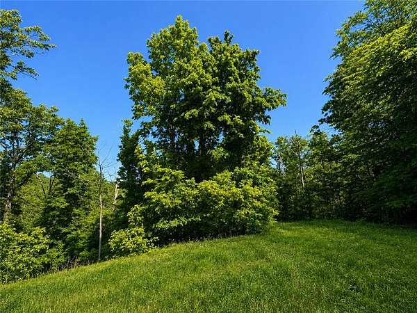 0.36 Acres of Residential Land for Sale in Bella Vista, Arkansas