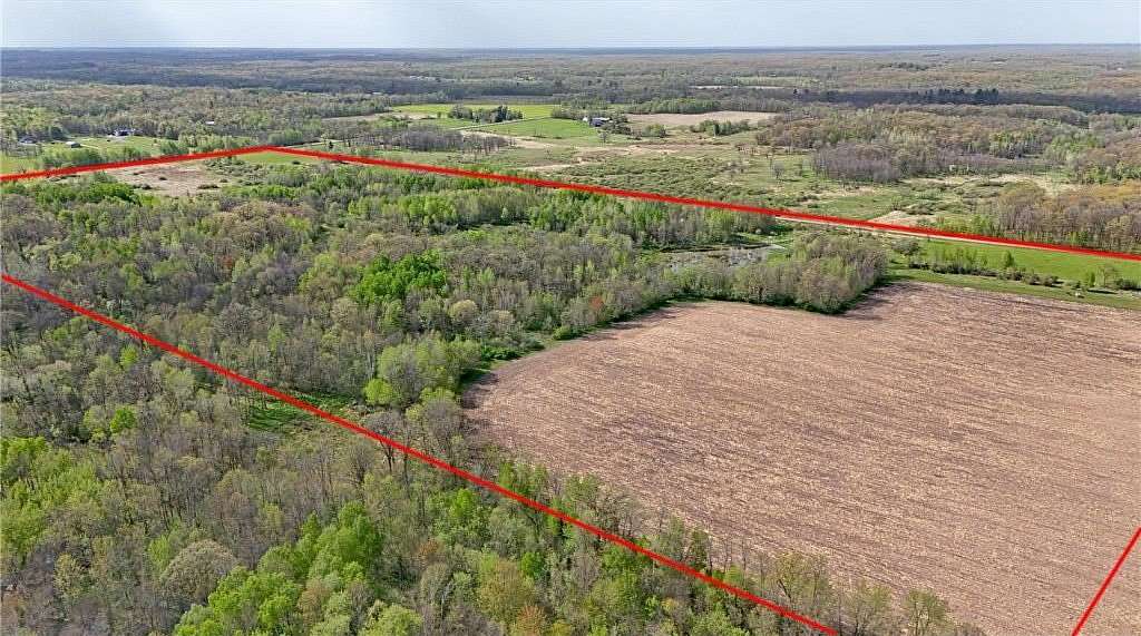 80 Acres of Land for Sale in Foreston, Minnesota