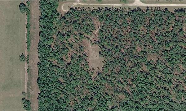 5 Acres of Residential Land for Sale in Lee, Florida