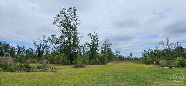 27.8 Acres of Land for Sale in Glennville, Georgia