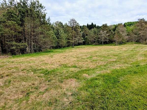 5.17 Acres of Residential Land for Sale in Port Allegany, Pennsylvania