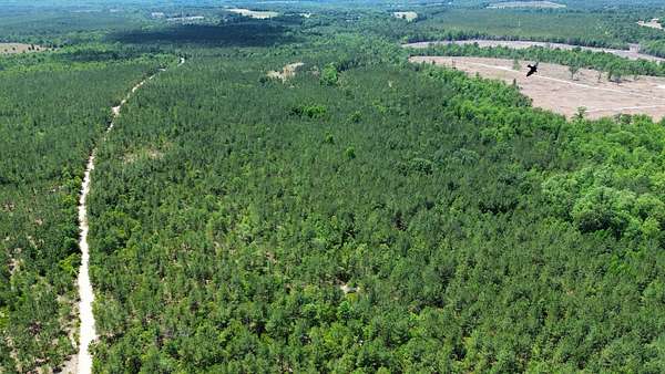303 Acres of Recreational Land for Sale in Bethune, South Carolina