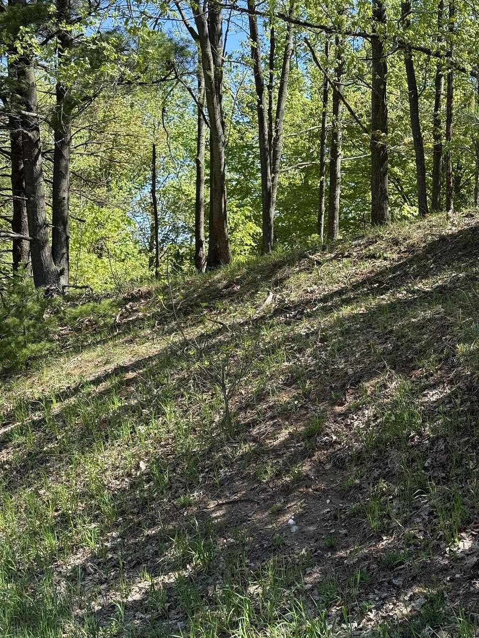 7 Acres of Land for Sale in Bear Lake, Michigan