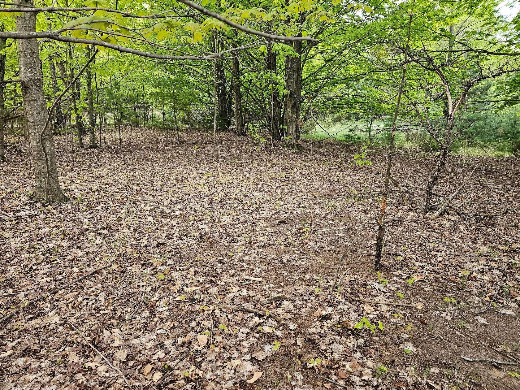 7 Acres of Land for Sale in Bear Lake, Michigan