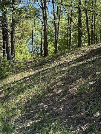 7 Acres of Land for Sale in Bear Lake, Michigan