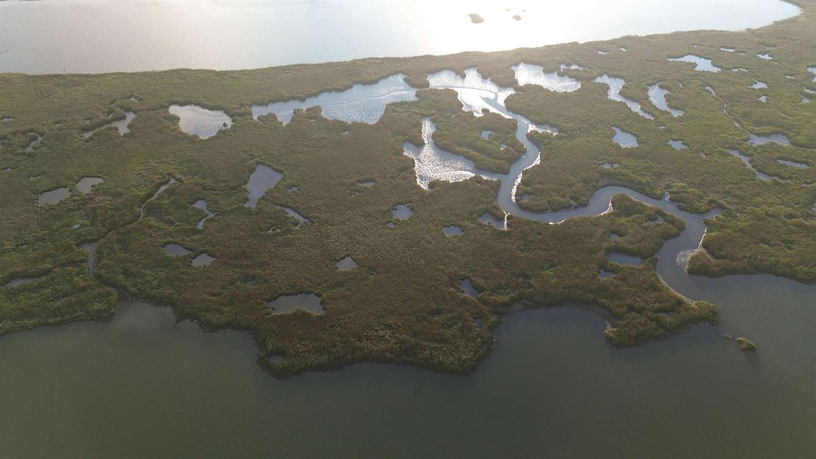 8 Acres of Land for Sale in Montegut, Louisiana