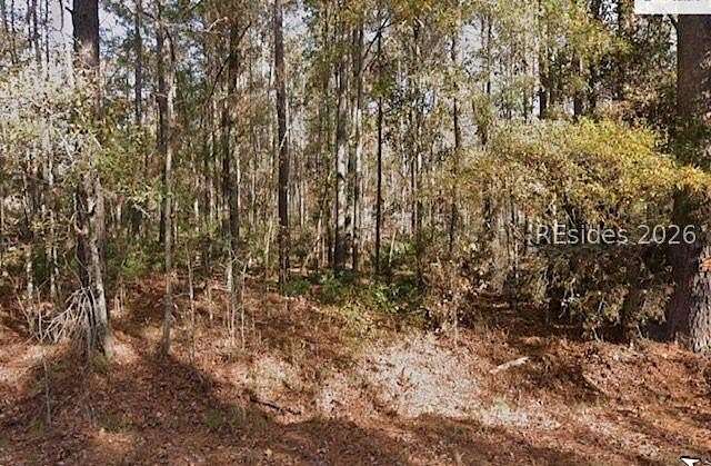 16.8 Acres of Recreational & Residential Land for Sale in Garnett, South Carolina