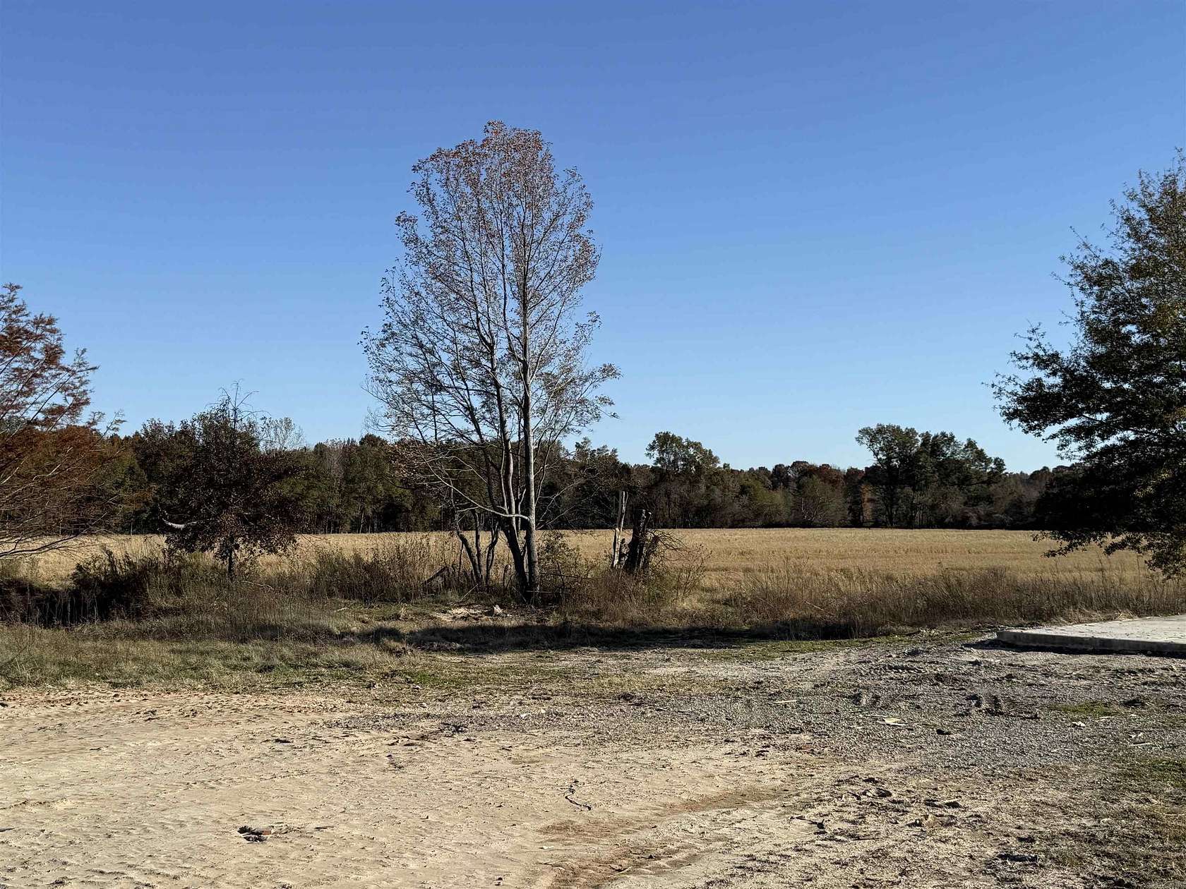 1 Acre of Residential Land for Sale in Biggers, Arkansas