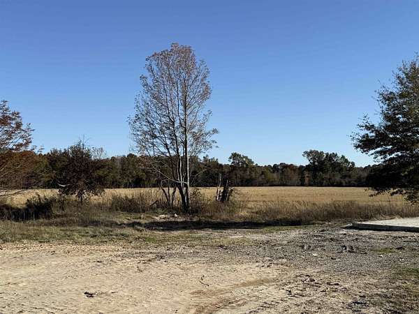 1 Acre of Residential Land for Sale in Biggers, Arkansas