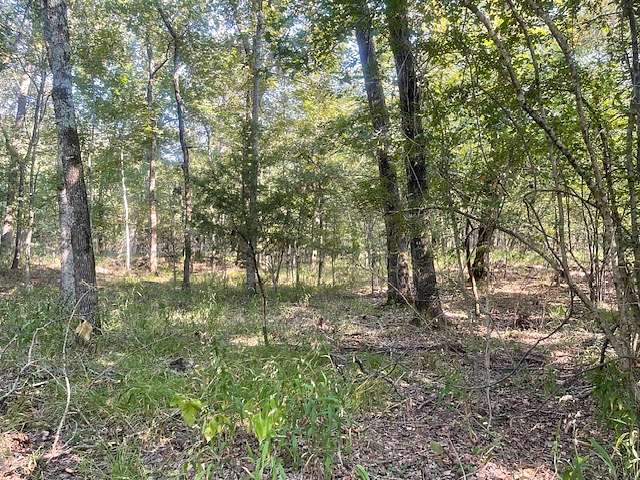 36 Acres of Land for Sale in Deport, Texas
