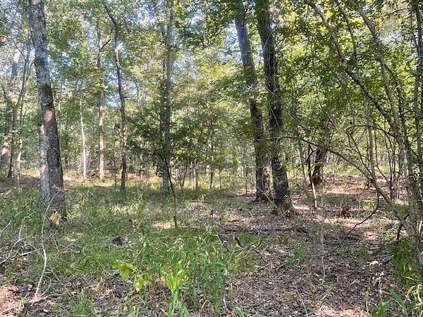 36 Acres of Land for Sale in Deport, Texas