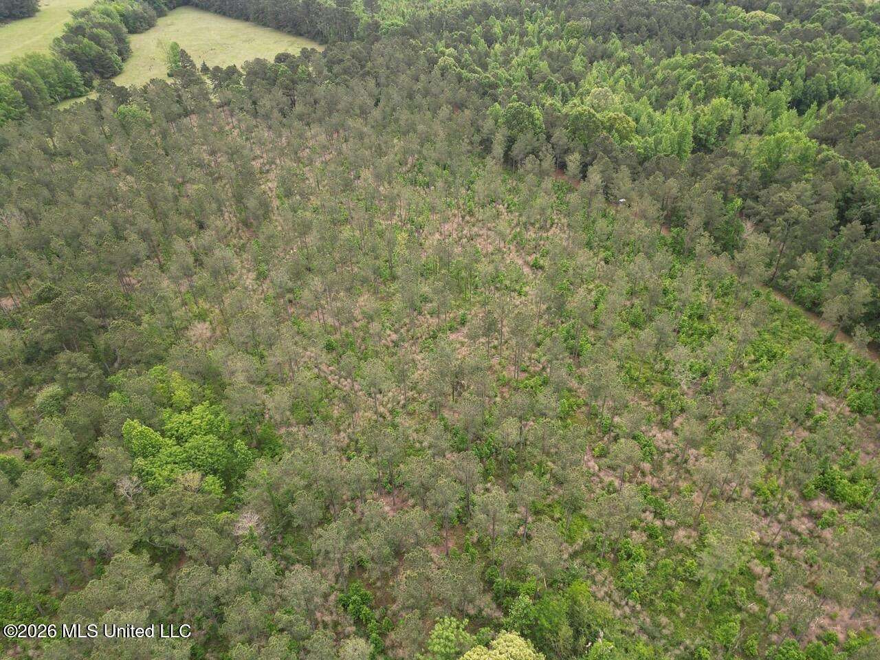 160 Acres of Land for Sale in Arcadia, Louisiana