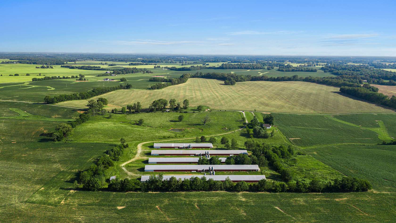 28 Acres of Land for Auction in Franklin, Kentucky