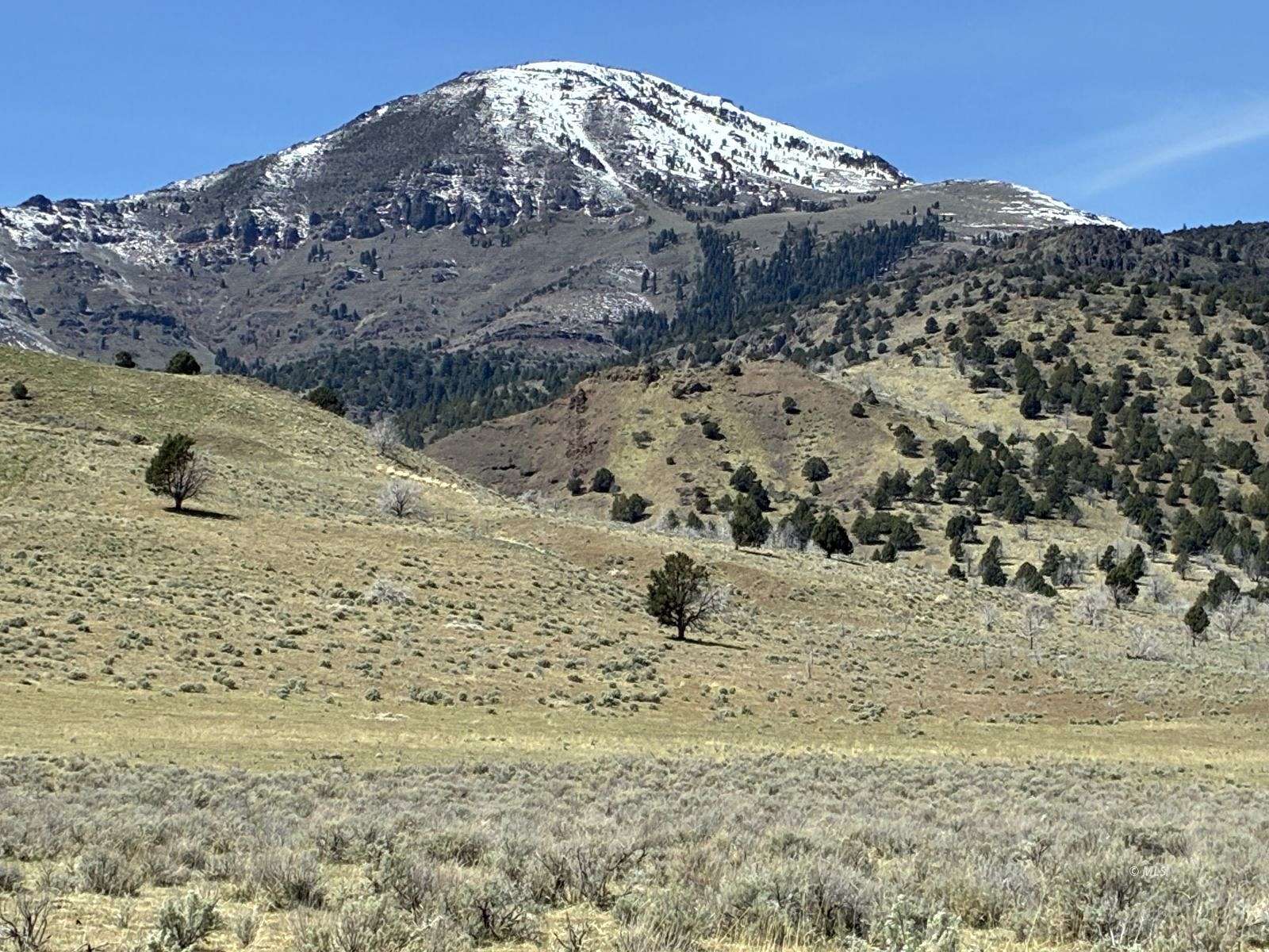 159 Acres of Land for Sale in Eagleville, California