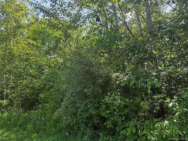 11 Acres of Recreational & Residential Land for Sale in Highland, New York