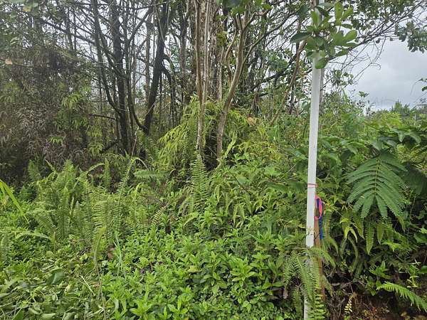 1 Acre of Residential Land for Sale in Kurtistown, Hawaii